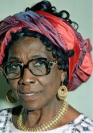 Gani Adebisi PAPAPA vendor profile
