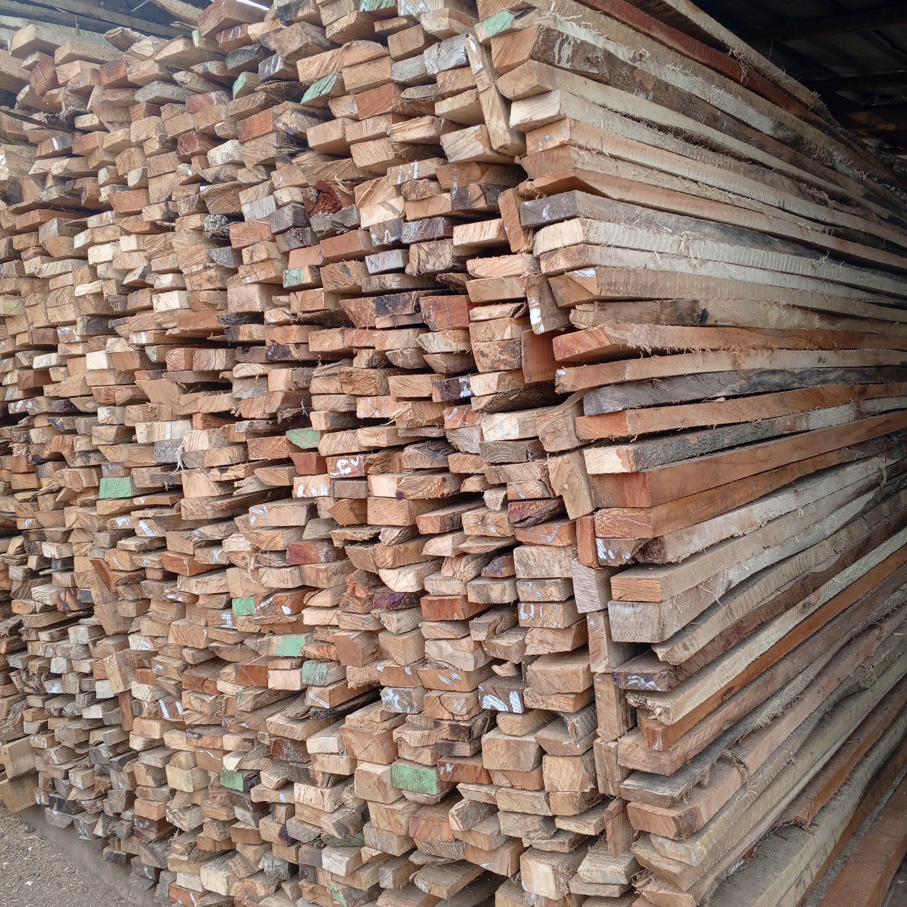2 by 4 wood