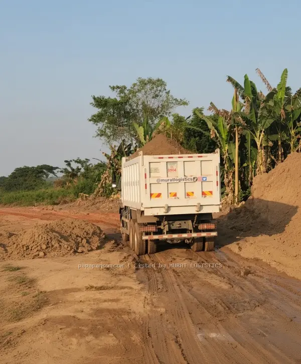 Sharp Sand on PAPAPA marketplace